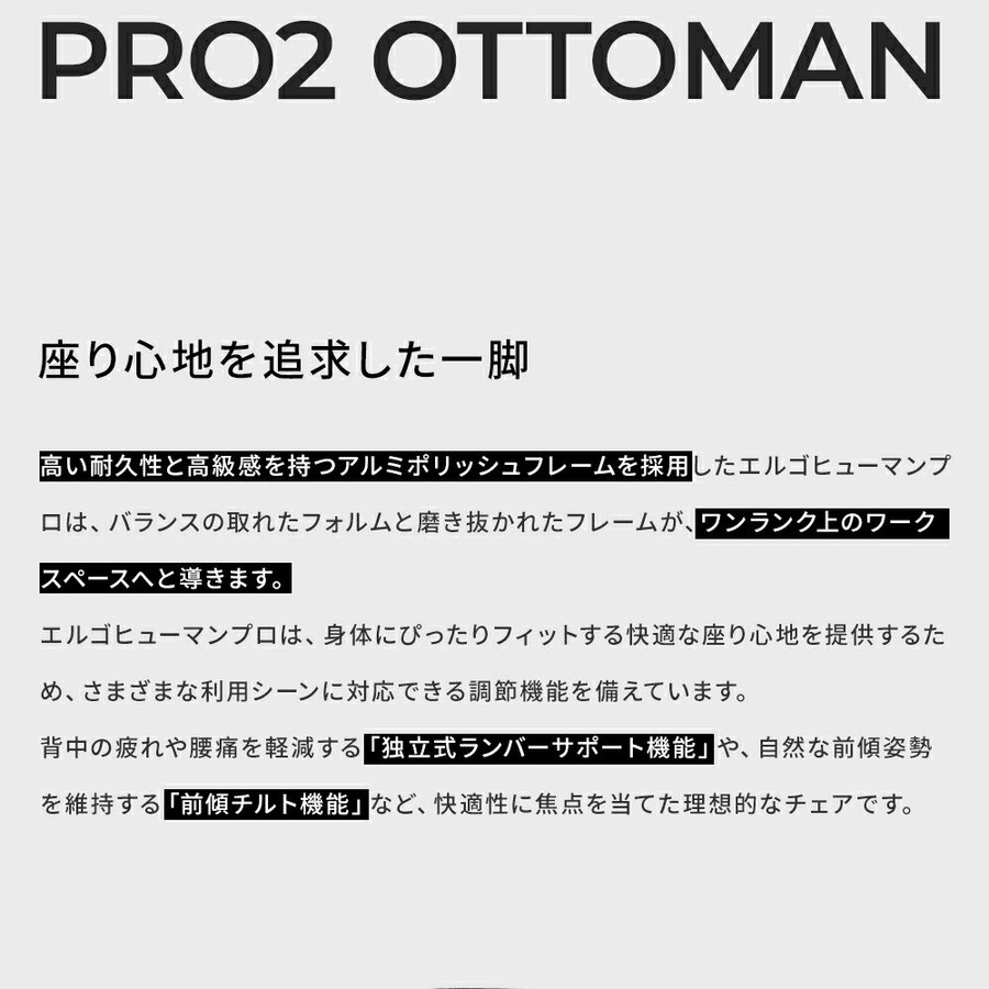 에르고휴먼 프로 2 오토만 체어 EHP2-LPL, 그린, 블랙 상세 이미지 1